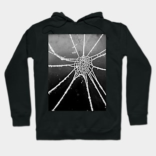 Spider Lace 3 Hoodie